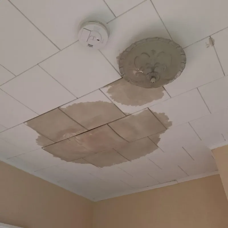 Ceiling Water Damage Repair in Reston, VA