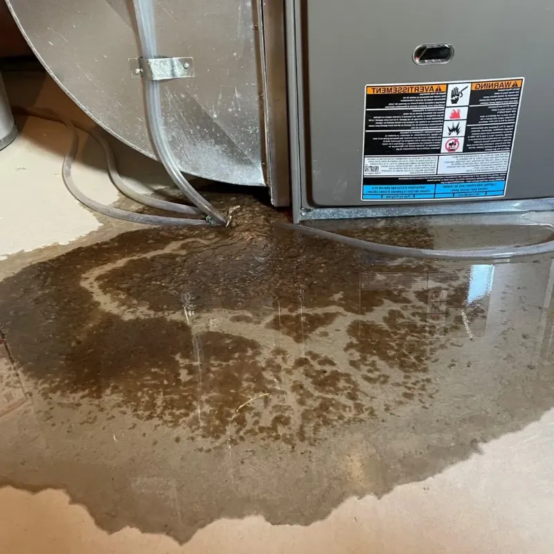 Pipe Burst and Leak Restoration in Reston, VA
